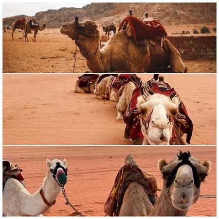 Wadi Rum Rozana Camp Exterior foto